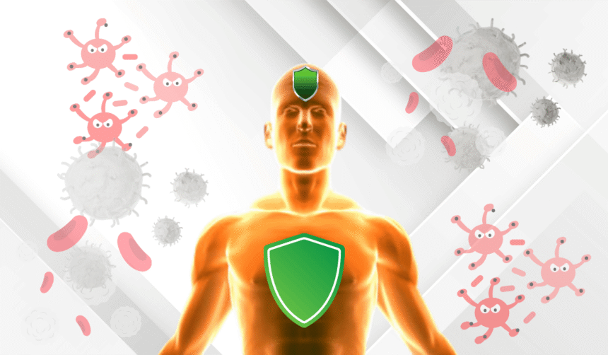 build stronger immune system